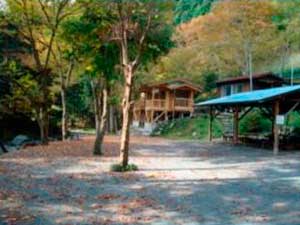 会員photo