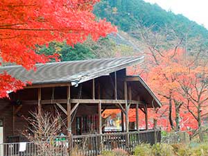会員photo