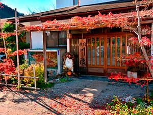 会員photo